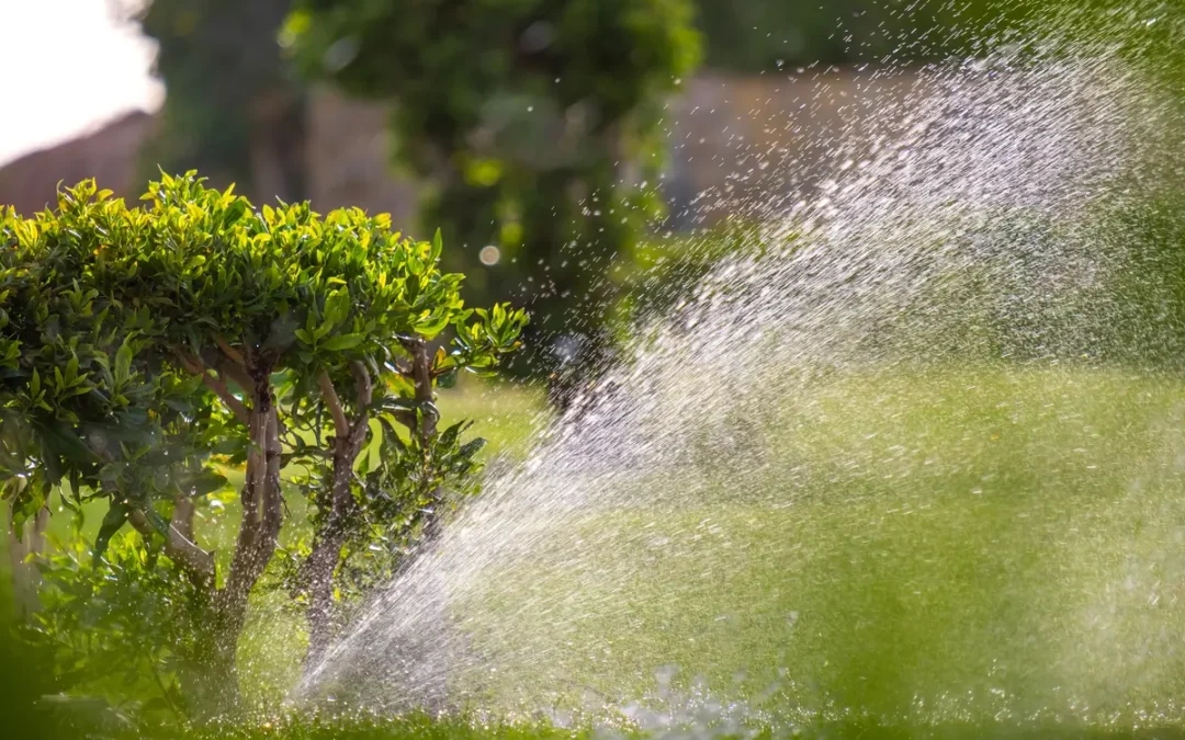 Ensuring Greenery Flourishes: The Importance of Irrigation in Florida Landscaping